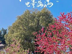 -乌山风景区