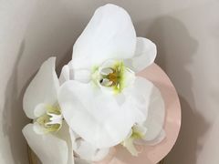 -Biteology Artisan Cakes(红庄·国际文化保税创新园店)