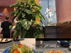 -和牛食堂•BISTRO(广州首店)