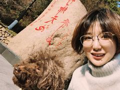 -江南天池