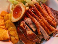 金奖卤鹅肉饭-陈鹏鹏潮汕菜(宝安机场T3航站楼店)