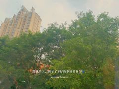 -D STAR COFFEE帝星咖啡