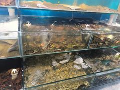 -仙螺岛海鲜自助餐厅(总店)