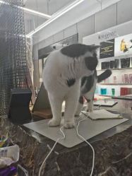 -塞巴斯汀SEBASTIAN专业美发店