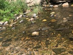 -碓臼峪自然风景区