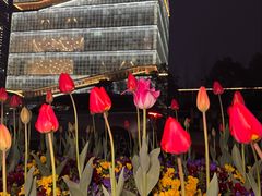 -杭州奥体中心-体育场