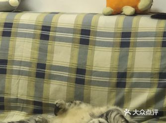 终于，它现在开始黏我了… 被需要的感觉好棒