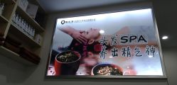 -黑奥秘脱发白发中心