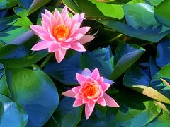 -国家植物园南园