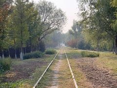 -永定河休闲森林公园