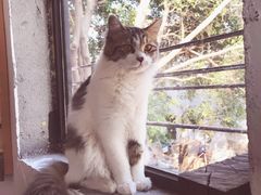 -五月木作·DIY木作文创体验店(北京路店)