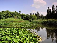 -南汇嘴观海公园