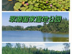 -翠湖国家城市湿地公园