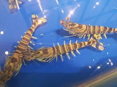 -江杨农产品批发市场