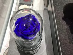 -ROSEONLY诺誓(国际广场购物中心店)