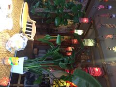 慢丽江庭院休闲餐厅(付家庄店)-慢丽江·云南野生菌土鸡锅(付家庄店)