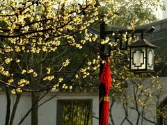 -苹果花园(鞍山路店)