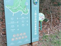 -上海佘山国家森林公园天马山园