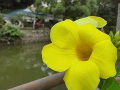 -晓港公园