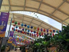 -三亚海昌梦幻海洋不夜城