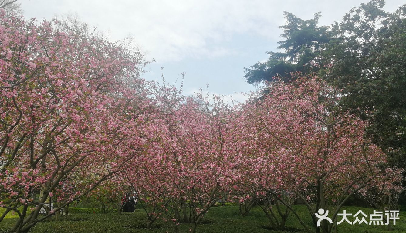 有着100多年历史的上海中山公园原兆丰公园