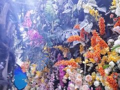 -正佳雨林生态植物园