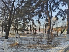 -长春市南湖公园