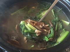 -蘑统田下·野生菌火锅