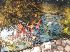 -茶米人台湾料理·精致快简餐