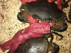-真口味潮州砂锅粥(岗厦店)