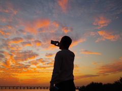 -宝安西湾红树林湿地公园