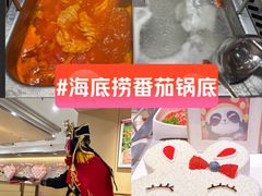 -海底捞火锅(吾悦广场店)