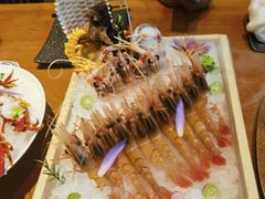 -月龍吟(朝龙汇店)
