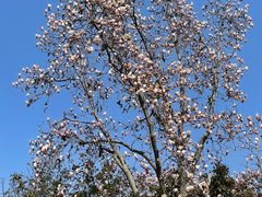 -南京市江宁方山