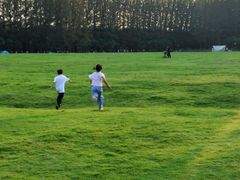 -黄海国家森林公园