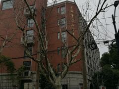 -上海市黄浦区卢湾第一中心小学