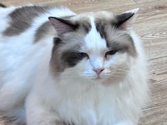 -白兔子密室(长寿路店)