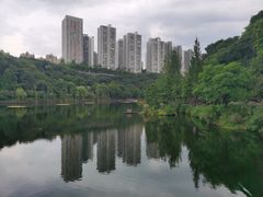 -重庆彩云湖湿地公园
