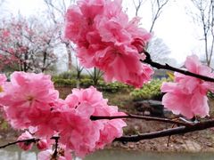 -南山风景名胜区