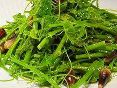 丝瓜尖炝拌腐竹-永安鱼庄·镇江菜(丁卯店)