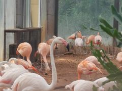 -广州长隆国际大马戏