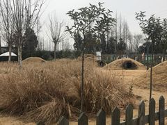 -前小桔亲子创意农场·草莓采摘·露营烧烤