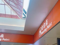 -上海浦东国际机场-T2航站楼