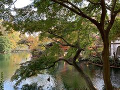 景点-井之头恩赐公园