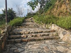 -军营村
