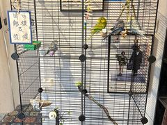 -鬼味烤翅(南锣鼓巷店)