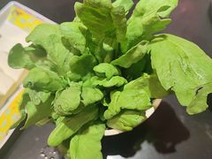 -芦月轩羊蝎子(劲松店)