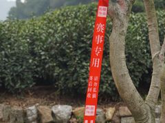-中国茶叶博物馆(双峰馆区)