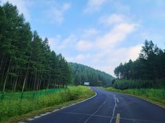 -塞罕坝国家级自然保护区