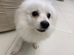 -怪兽屋·羊驼·猫咖·狗咖(俊华广场店)